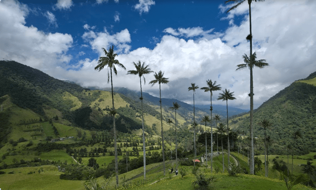 Vallée de Cocora en Colombie avec palmiers géants, montagnes verdoyantes et ciel nuageux.